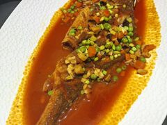 -三强鸽子(中原路店)