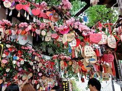 -胖娃古镇鸡杂(磁器口总店)