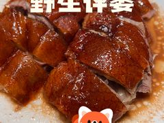 -侨美食家·41年地道粤菜(珠江新城店)