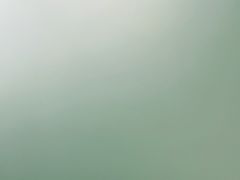 -南方太太小锅米饭(西工区金谷园路店)