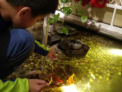 -衡山汇·高级粤菜(霄云路店)