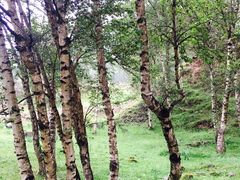 -互助北山国家地质公园漂流