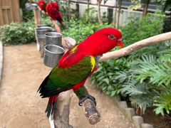 -南宫五洲植物乐园