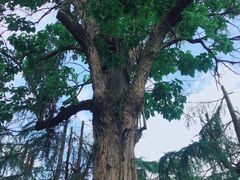 -遵义会议纪念馆
