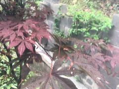 -汇雅温泉