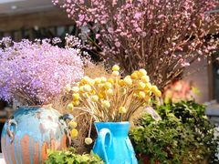 -春暖花开(西溪店)