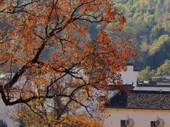 -塔川景区