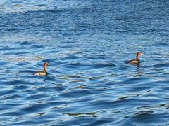 -长春市南湖公园