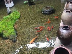 -几荷·恰似故人来(秀水广场店)