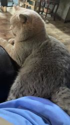 -青木造型HAIR·あおき髪を刈る潮人店