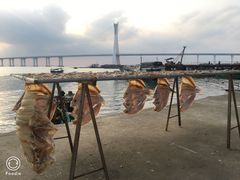 -文昌铺前老街