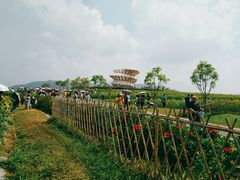 -光明小镇欢乐田园