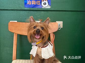 #日式餐厅  成都拉面 Top3 #宠物餐厅#