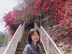 -小南山公园