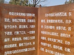 -白水寺森林公园
