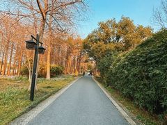 -西溪国家湿地公园