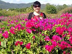 -亚龙湾国际玫瑰谷