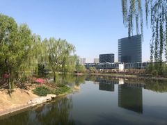 -大兴滨河森林公园