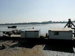 -大湾区中央湿地公园-十九涌