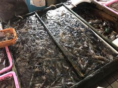 -南沙十九涌渔人码头-南门