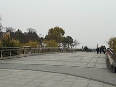 -江滩湿地公园