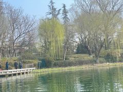 -济南大明湖景区