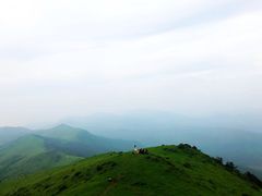 -大姆山草场