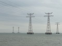 -宝安西湾红树林湿地公园