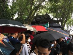 -西湖外事游船(花港观鱼码头)