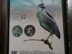 -美的鹭湖森林度假区