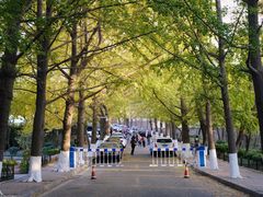 -八大关景区