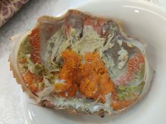 -欢乐海岸美食联盟