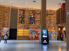 -深影国际影城(学院南路店CGS中国巨幕店)