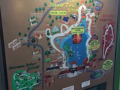 -清迈夜间动物园