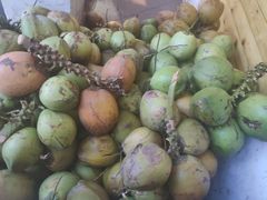 -南国锋味椰子鸡(瀚海店)