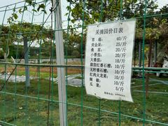 -南沙蒲洲花园