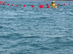 -小猫钓鱼海钓俱乐部(椰梦长廊店)