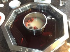 -绵阳森林雨鸭肠王火锅城(丽景花城店)