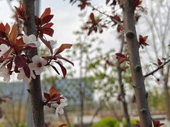 -中关村生命科学园