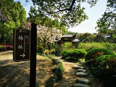-白马涧龙池景区
