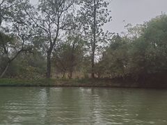-烟水渔庄餐厅(西溪湿地店)