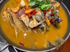 -阿露佳·安吉菜