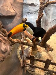 -Zoolung Zoolung动物主题公园(海信广场店)