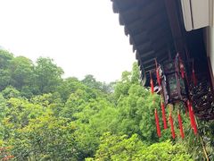 -十八棵（老龙井）御茶园(老龙井店)