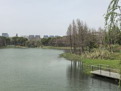 -尚贤河湿地