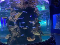 -石家庄海洋公园
