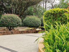 -墨江北回归线标志园