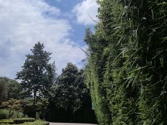 -花溪公园