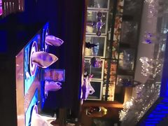 -甘尼仕印度餐厅爵士酒吧(阳春巷店)