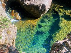 -花岩国家森林公园